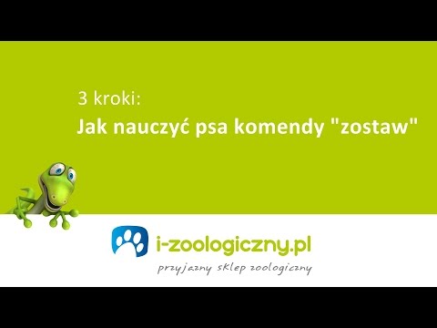 Jak nauczyć psa komendy zostaw