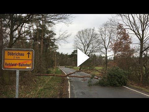 Döbrichau  Richtung Rehfeld nach Sturm " Friederike" 18.1.2018