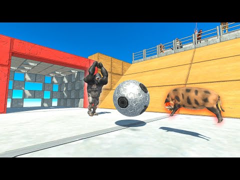 1v1 FURY SOCCER | Primates Vs Mammals - Animal Revolt Battle Simulator