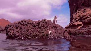 Galápagos Fish, Penguins and Sealions, Shot with APEMAN Action Cam