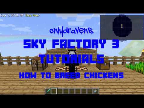Minecraft Sky Factory 3:  How to Breed Chickens + Rare Chickens