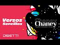 Conjunto Chaney - Versos Sencillos | Salsa Romántica