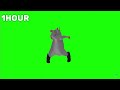 Rat Dance 1hour