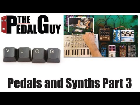 ThePedalGuy VLOG | Using Pedals with Synths Part 3