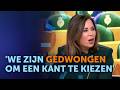 Claudia Van Zanten NIEMAND In De BBB WILDE DIT