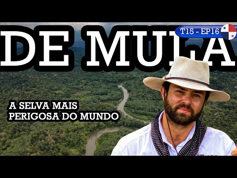 I arrived at the Darien Jungle in Panama.