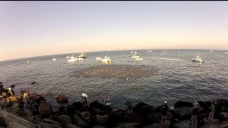 Montauk Striped bass Fall Blitz. Surfcasting picky fish on rain bait!