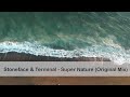 Stoneface & Terminal - Super Nature (Original Mix)