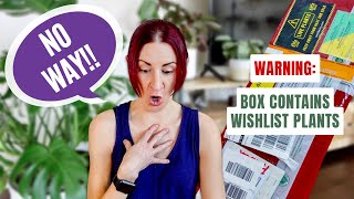 You'll NEVER BELIEVE What Plants AroidAsia Sent Me! | Imported Rare Houseplant Unboxing