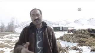 preview picture of video 'Gürpınar'da kuduz karantinası'