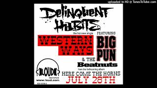 Delinquent Habits- Western Ways (Album Verison)