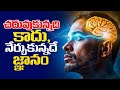 What Is Real Wisdom Telugu Best Motivational Video Voice Of Telugu