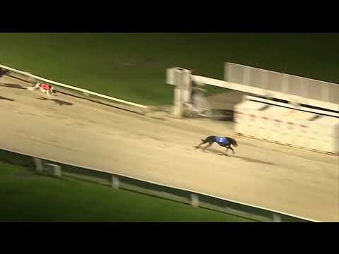 2018 STAR SPORTS BRITISH BRED - T2 KING TURBO