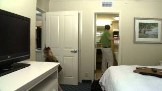 Myrtle Beach Oceanfront 2BR 2Bath Suite