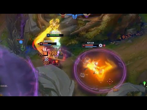 What Rank1 VIEGO on Super Server looks like