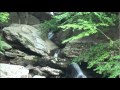 Kiri Taki~Misty Waterfall by Brittny Woss