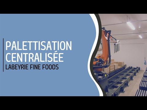 Robot palettiseur carton - sur rail - MAXIPAL® pour lignes de production centralisées_3