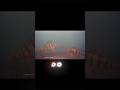 Video Thumbnail for Ice fishing Perch | underwater camera