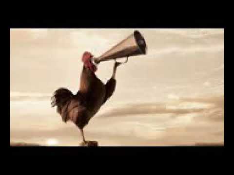 Sonido de la Diana mañanera en el Ejército  Nacional de Colombia