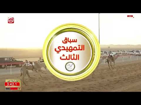ش 4 (الغزال) لـ محمد سعيد بن علي المنصوري 6:08:85 ، مهرجان العين 2026/09/15 إيذاع الروضة