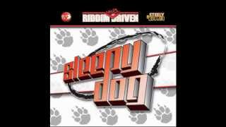 Sleepy Dog Riddim Mix (Dr. Bean Soundz)[2005 Steely & Clevie]