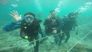 preview picture of video 'Scuba Diving @ Pacman Beach Resort 1.7'