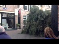Paarden op hol in centrum Ootmarsum bij halen hout voor paasvuur