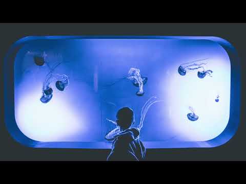 G-Pal Feat. Anna Maria X - Ocean Of Blue (Nightnews Midnight Reinterpretation)