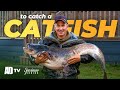 Catfish Fishing Specimen Series Phil Spinks