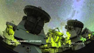 CARBON BASED LIFEFORMS - MOS 6581