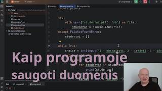 Kaip programoje saugoti duomenis: tekstiniai ir pickle failai