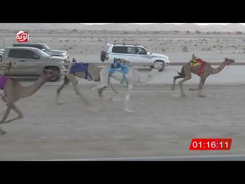  ش 5 (الشاهينيه) لـ عبدالله بن سهيل المهري 2:18 , شارة الصندوق 2026/06/27 فطامين الخزنة  