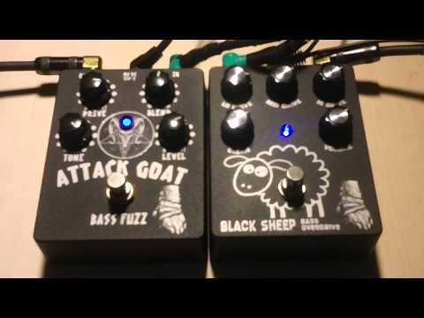 Wounded Paw Black Sheep & Attack Goat Overdrive Fuzz - Groove WITH DRUMS