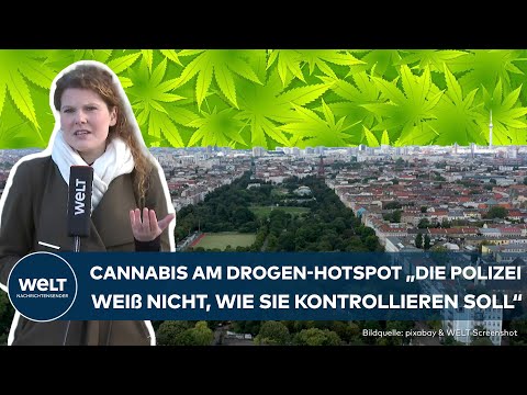 GÖRLITZER PARK: Legt die Cannabis-Legalisierung Berlins berüchtigten Drogen-Hotspot trocken?