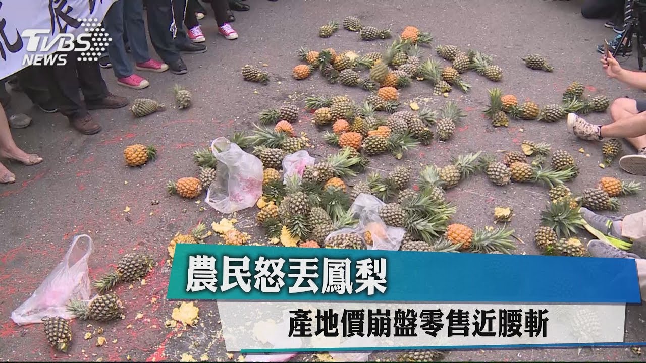 農民怒丟鳳梨　產地價崩盤零售近腰斬
