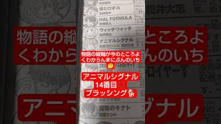 #アニマルシグナル 9話「狼の耳は正直者」（春原ロビンソン×筒井大志）『狼の耳や尻尾をなでなでする回』#少年ジャンプ #2026年 36号 #jump #comics #WJ #漫画語り
