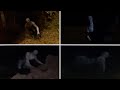 Most Terrifying SKINWALKER RAKE Videos On The Internet