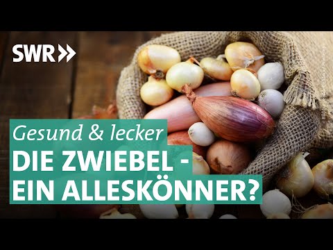 Was man über Zwiebeln wissen muss: Sorten, Verwendung, Inhaltsstoffe | Marktcheck SWR
