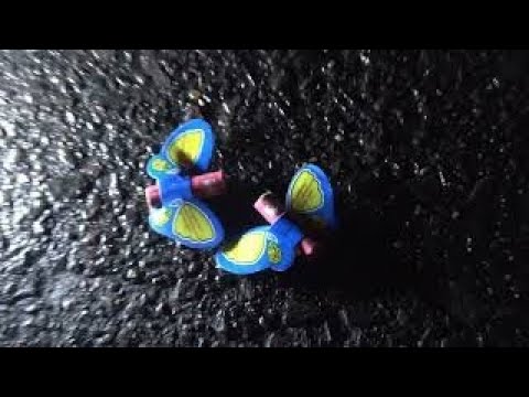 💥 Latające Motylki