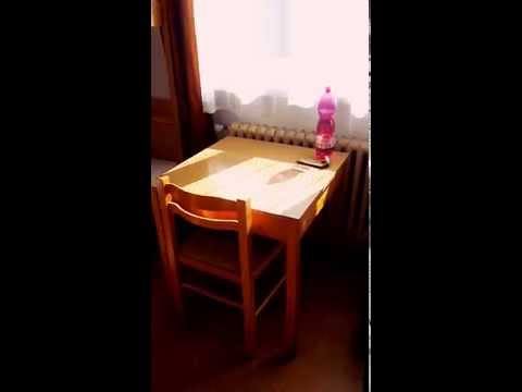 download lagu mp3 mp4 Czech University Of Life Sciences Prague Dormitories, download lagu Czech University Of Life Sciences Prague Dormitories gratis, unduh video klip Czech University Of Life Sciences Prague Dormitories