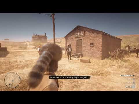 The Tumbleweed Sheriff Doesn't Mess Around - Red Dead Redemption 2