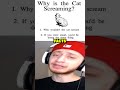 Why Is The Cat Screaming Shorts Short Memes Meme