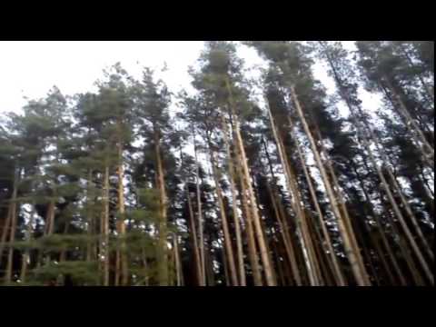 DiscoBonus - Please help me my love