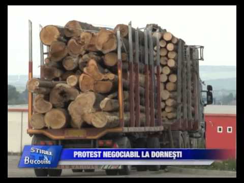 16   Protest negociabil la Dornesti Bucovina TV ro   14 06 2113
