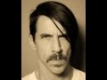 Anthony Kiedis   Shut D Fonk Up