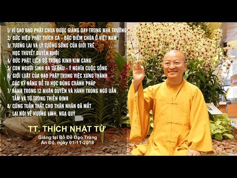 Vấn đáp: Vì sao PG chưa được giảng dạy trong nhà trường- Chùa ở Việt Nam - TT. Thích Nhật Từ 