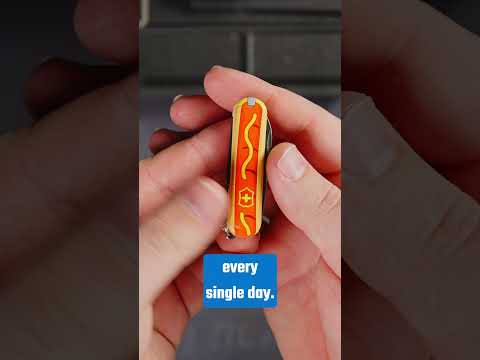 3 Most Confiscated Knives #bladehq #foldingknife #pocketknife #knifecollector