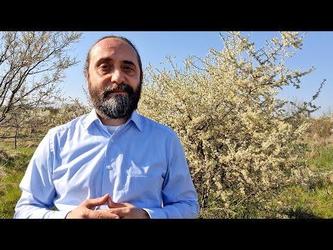 SĂRBĂTORILE SĂPTĂMÂNII | SF. IGNATIE BRIANCIANINOV | UNIVERSUL CREDINŢEI | TVR