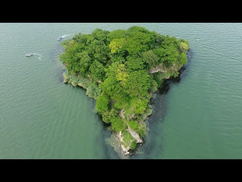 La Isla de LOS PATOS, conocida también como ISLA DEL AMOR, en el LAGO DE ILOPANGO