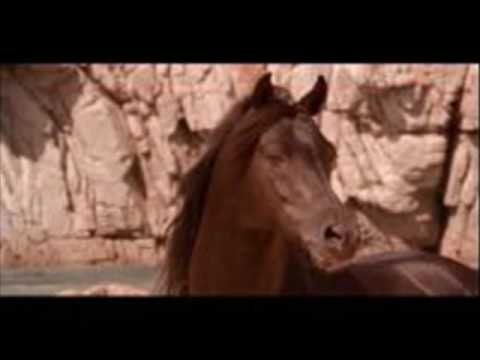 The Black Stallion - Main Theme -  Carmine Coppola